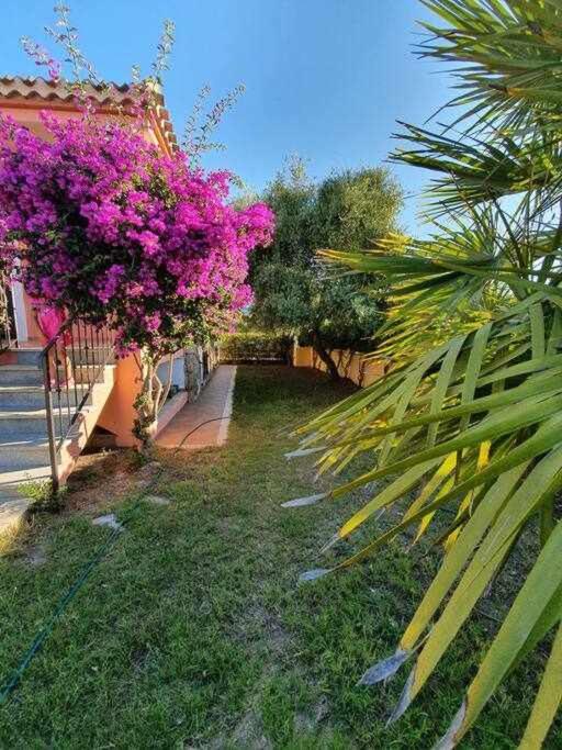 Casa Vacanze Lolivastro อาร์บาตักซ์ ภายนอก รูปภาพ